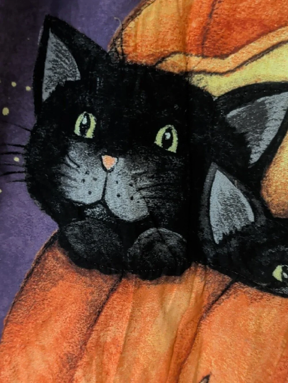 Halloween Pumpkin & Black Cat Quilt